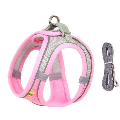 Harnais rose et gris et une laisse pour Chihuahua – parfaits pour des promenades sécurisées avec votre petit chien ou chat