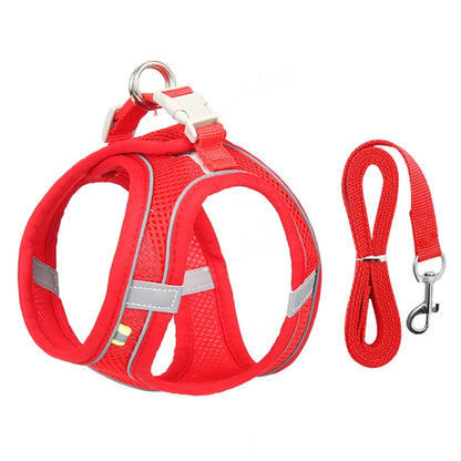 Harnais rouge et gris et une laisse pour Chihuahua – parfaits pour des promenades sécurisées avec votre petit chien ou chat