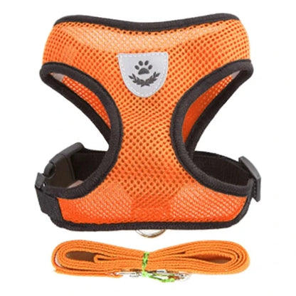 Harnais et laisse oranges pour Chihuahua – Confortables et résistants, parfaits pour promener votre petit chien ou chat