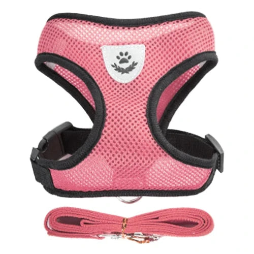 Harnais et laisse roses pour Chihuahua – Confortables et résistants, parfaits pour promener votre petit chien ou chat