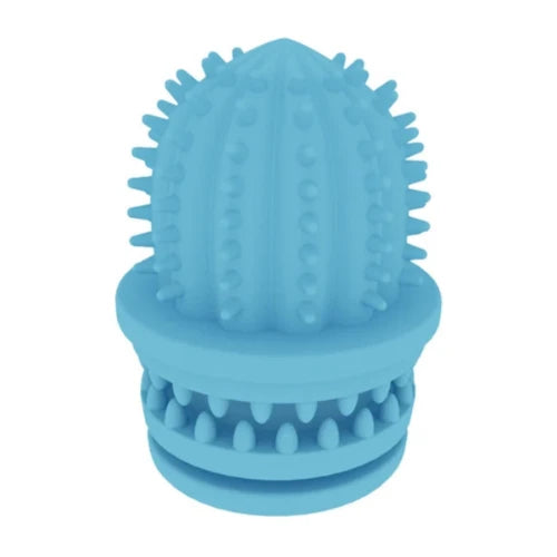 Jouet pour Chihuahua à mâcher en silicone en forme de cactus bleu – Idéal pour stimuler et divertir votre petit chien ou chat