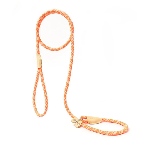 Laisse Chihuahua : Tressée Orange