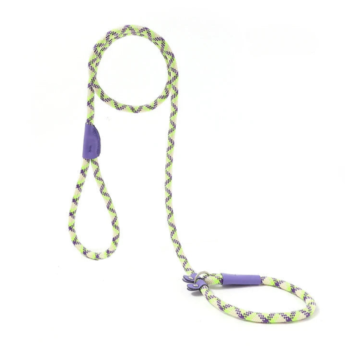 Laisse Chihuahua : Tressée Verte et Violette