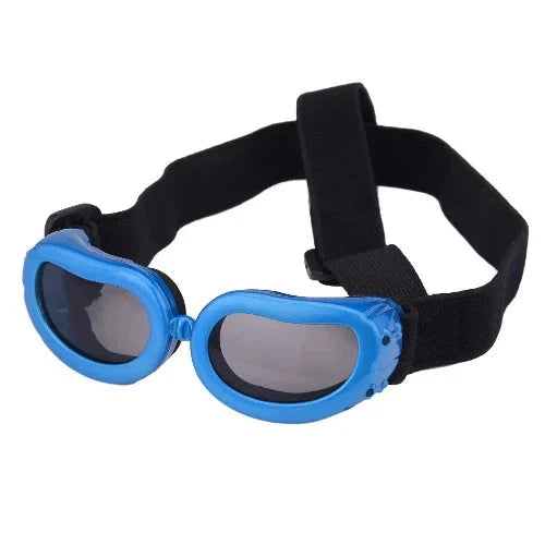 Accessoire pour Chihuahua - Lunettes de protection anti-UV bleues – Protègent les yeux de votre petit chien ou chat du soleil
