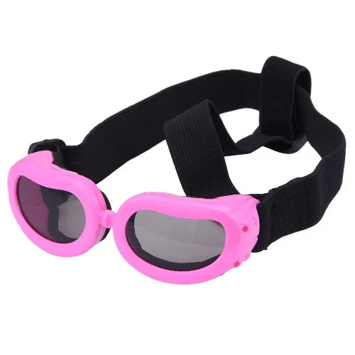 Chihuahua Accessory: UV Protection Glasses