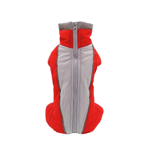 Manteau Chihuahua : Combinaison Rembourrée Rouge & Gris