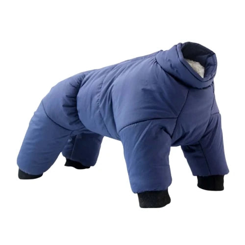 Manteau Chihuahua : Combinaison Ski Hiver Bleue