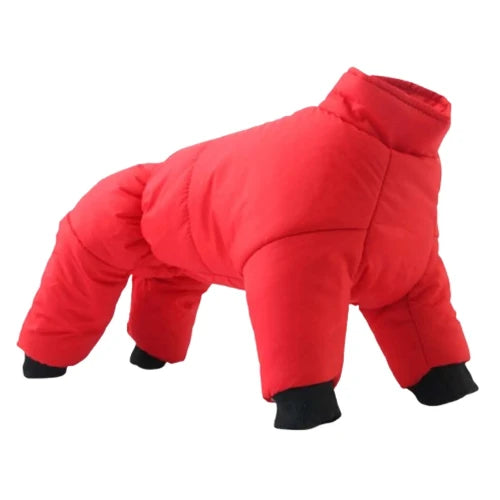Manteau Chihuahua : Combinaison Ski Hiver Rouge