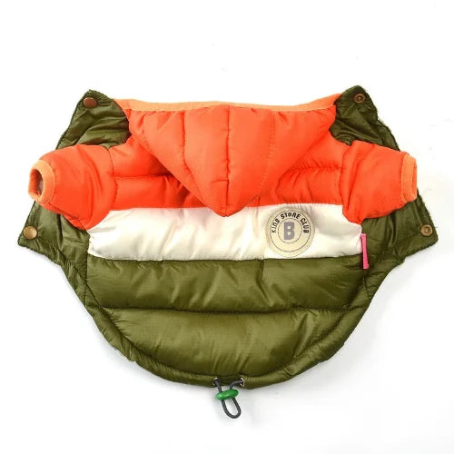 Manteau Chihuahua : Doudoune à Capuche Verte & Orange