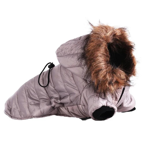 Chihuahua-Mantel: Daunenjacke mit grauem Pelzkragen