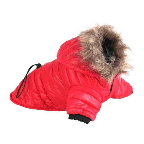 Chihuahua-Mantel: Daunenjacke mit rotem Pelzkragen