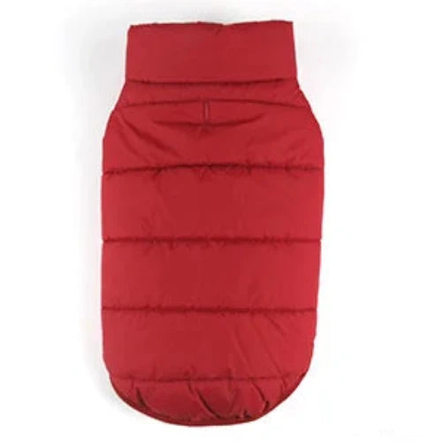 Chihuahua Coat: Red Down Jacket