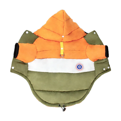 Chihuahua-Mantel: Grüne und orange Daunenjacke
