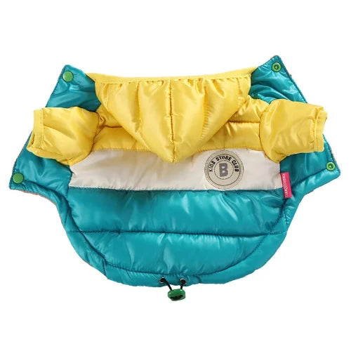 Chihuahua Coat: Blue &amp; Yellow Down Jacket