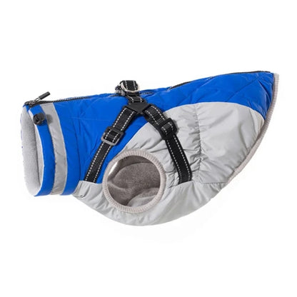 Manteau pour Chihuahua : veste imperméable bleu et gris – Confortable, parfait pour protéger votre petit chien ou chat pendant les promenades