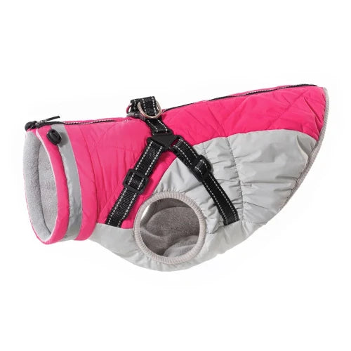 Manteau Chihuahua : Veste Imperméable Rose & Gris