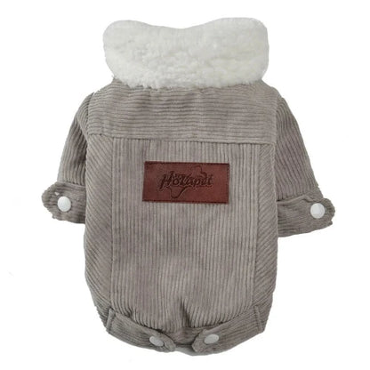 Manteau pour Chihuahua : veste en velours gris – Confortable, parfait pour protéger votre petit chien ou chat pendant les promenades