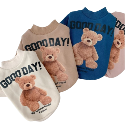 plusieurs pulls pour Chihuahua motif good day avec nounours – Confortable, vêtement parfait pour garder votre petit chien ou chat au chaud