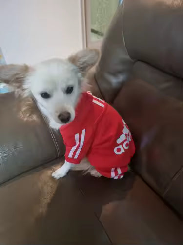 Sam