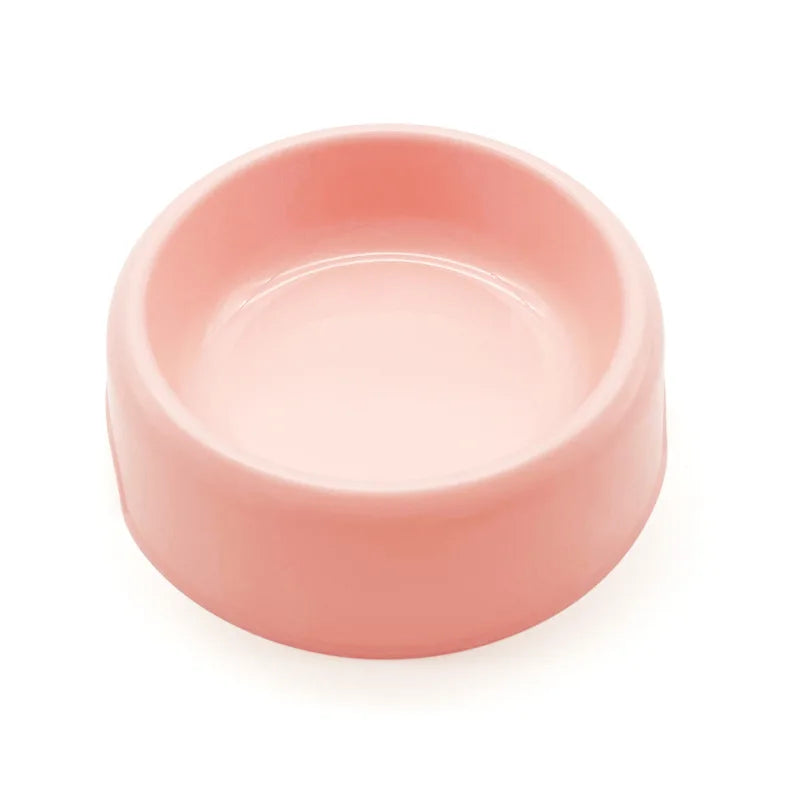 Chihuahua Bowl: Small, colorful plastic bowl