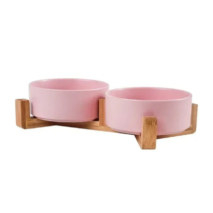 Dog Bowl: Colorful Ceramic
