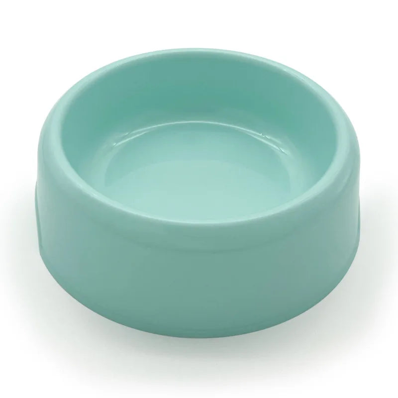 Chihuahua Bowl: Small, colorful plastic bowl