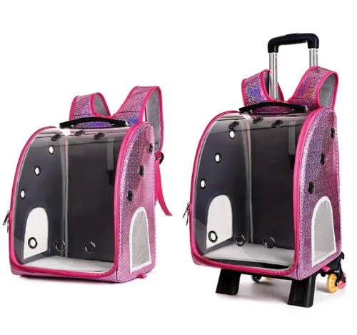 Chihuahua Transport: Transparente Tasche mit Rädern