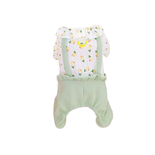 Salopette pour Chihuahua verte – Vêtement confortable, parfait pour habiller votre petit chien avec originalité et élégance