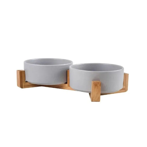 Dog Bowl: Colorful Ceramic