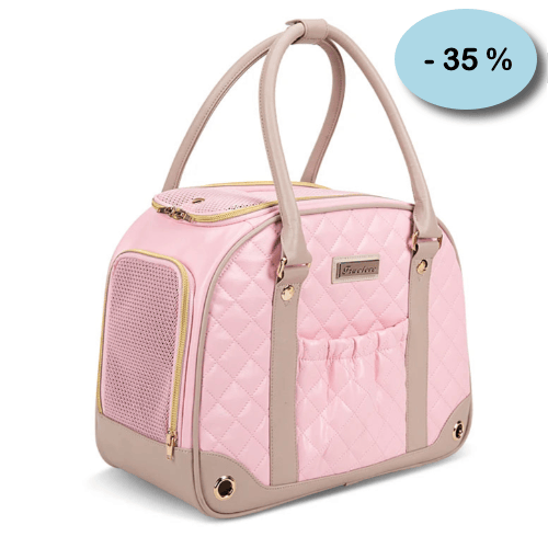 Chihuahua-Transport: LV-Stepptasche