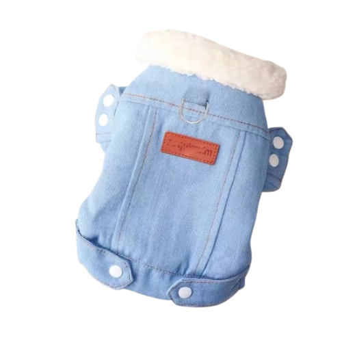 Manteau Chihuahua : Veste en Jean