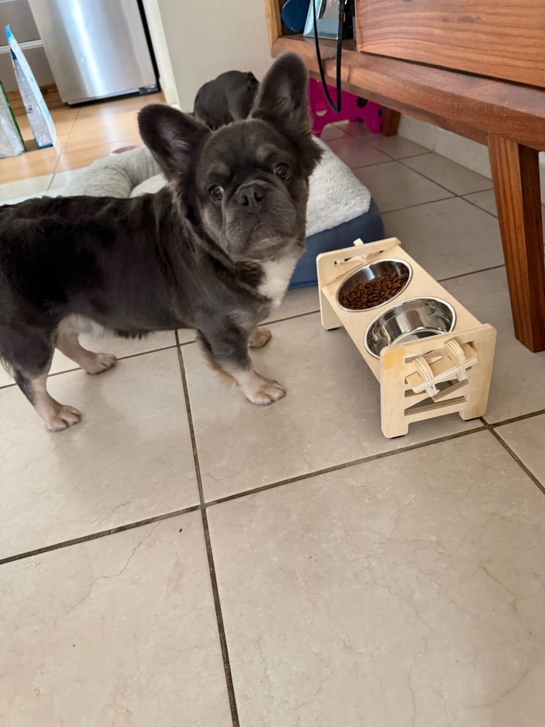 Photo d'un bouledogue qui mange dans une gamelle inclinée en bois. Avis 5 étoiles laissé sur la boutique Mon Petit Chihuahua. Convient aussi aux chats.