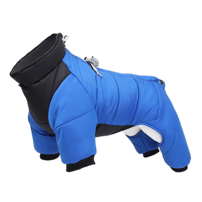 Manteau pour Chihuahua : Doudoune intégrale bleue et noire – Avec attache pour protéger votre petit chien ou chat du froid 