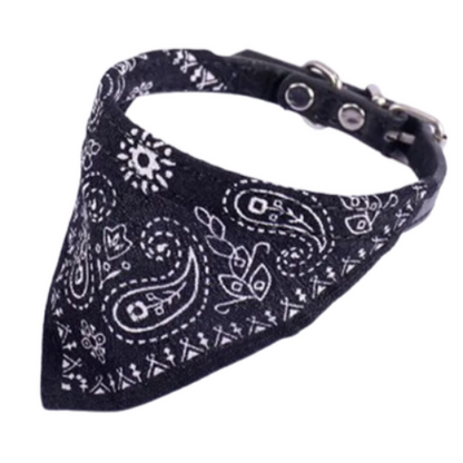 Déguisement Chihuahua : foulard noir confortable et tendance, parfait pour les fêtes, évènements, anniversaires ou Halloween – taille parfaite pour les petits chiens