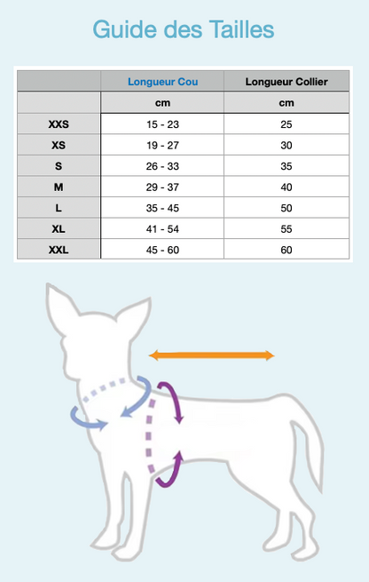 guide des tailles pour les colliers pour chiens sur le site mon petit chihuahua