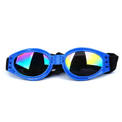 Lunettes pliables pour petits chiens, vendue sur la boutique Mon Petit Chihuahua. Couleur Bleu