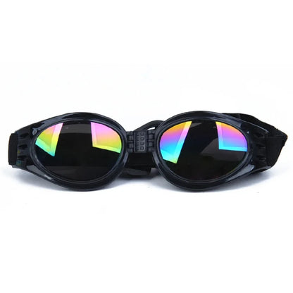 Lunettes pliables pour petits chiens, vendue sur la boutique Mon Petit Chihuahua. Couleur Noire