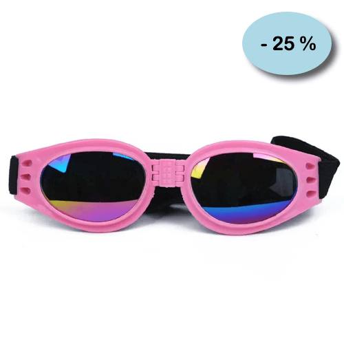 Chihuahua-Zubehör: Faltbare Brille