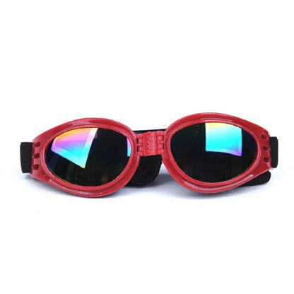 Lunettes pliables pour petits chiens, vendue sur la boutique Mon Petit Chihuahua. Couleur rouge