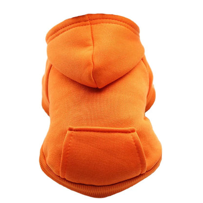 Pull à capuche pour Chihuahua orange – vêtement parfait pour garder votre petit chien ou chat au chaud