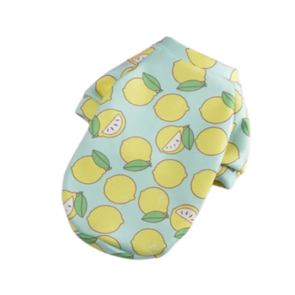 Pull pour Chihuahua bleu avec motifs citrons – Confortable, vêtement parfait pour garder votre petit chien ou chat au chaud
