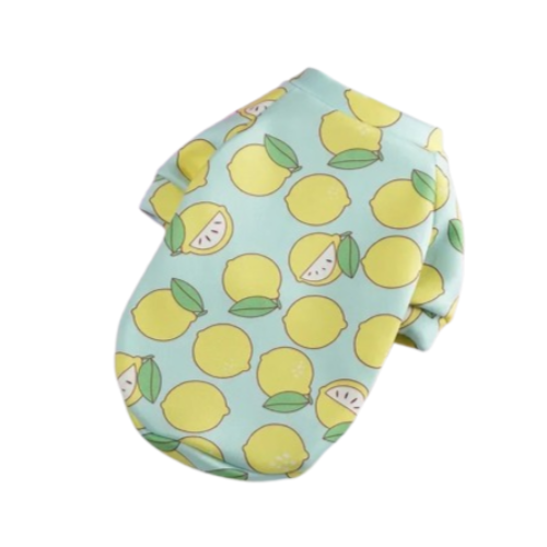 Pull pour Chihuahua bleu avec motifs citrons – Confortable, vêtement parfait pour garder votre petit chien ou chat au chaud