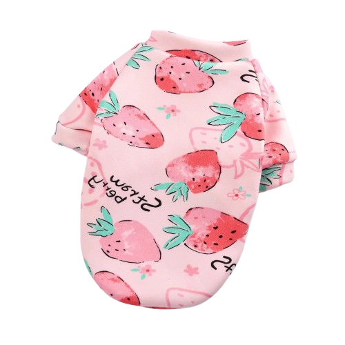 Pull pour Chihuahua rose avec motifs fraises – Confortable, vêtement parfait pour garder votre petit chien ou chat au chaud