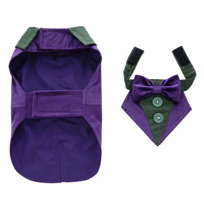 Déguisement Chihuahua : costume smoking violet confortable et tendance, parfait pour les fêtes, évènements, anniversaires ou halloween – taille parfaite pour les petits chiens