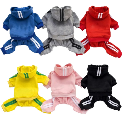 Manteau pour Chihuahua : Survêtement de plusieurs couleurs pour protéger votre petit chien ou chat pendant les promenades